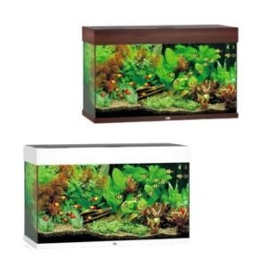 Juwel Rio 125 LED Glass Aquarium With Heater & Filter