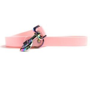Howl & Growl Think Pink with Rainbow Hardware Lead 120x2.5cm
