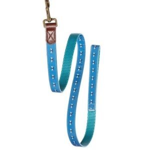 Danish Design FatFace Spotty Bees Dog Lead
