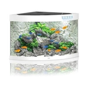 Juwel Trigon 190 LED Glass Aquarium With Heater & Filter
