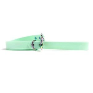 Howl & Growl Seafoam with Rainbow Hardware Lead 120x2.5cm