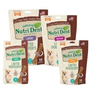 Nylabone Nutri Dent Filet Mignon Dental Dog Chews
