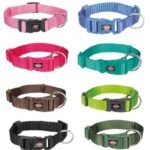Trixie Premium Collar for Dogs