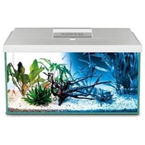 Aquael Leddy Plus Day & Night 2.0 - Glass Aquarium Set With Heater