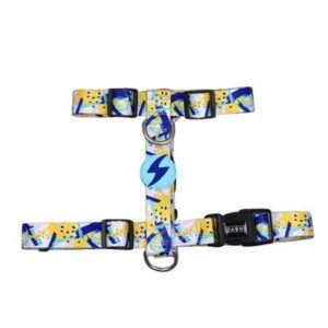 Dashi Nebula Back Harness for Dogs