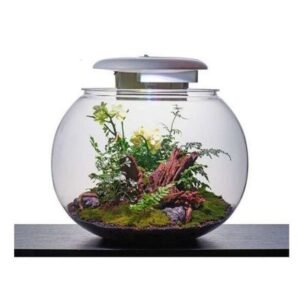 Katachi Lifestyle Kyu Acrylic Globe 37L Glass Aquarium With LED Lighting & Filter
