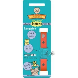 Kittyrama Tangerine Kitten Collar 14.5cm - 18.5cm
