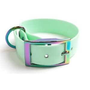 Howl & Growl Seafoam with Rainbow Hardware Collar
