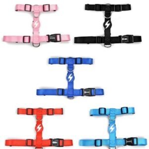 Dashi Solid Back Harness for Dogs