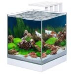 Ciano Nexus Pure 25 Cube Glass Aquarium 22L With LED & Filter