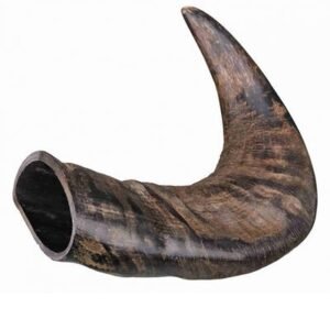 Trixie Natural Buffalo Chewing Horn Dental Dog Treats