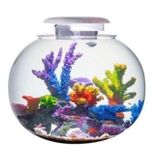 Katachi Lifestyle Kyu Acrylic Globe 52L Glass Aquarium With LED Lighting & Filter